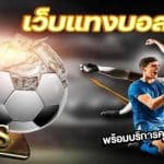เว็บแทงบอล