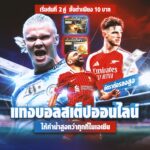 เว็บไซต์แทงบอล